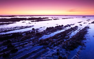 Картинка Морской заповедник Фитцджеральда, Калифорния, фиолетовое небо, пейзаж, горизонт, моховой пляж, водное пространство, морской пейзаж, чистое небо, 5к, США, закат, горные породы