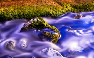 Картинка зеленый мох, водный поток, длительное воздействие, фиолетовый, 5к, крупным планом, камень