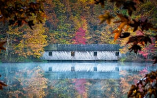 Картинка крытый мост из камброна, Хантсвилл, река, Алабама, отражение, осень, 5к, деревья, 8k