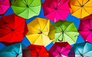 Картинка зонтики, уличный фестиваль, цвета радуги, красочный, 5к, глядя на небо