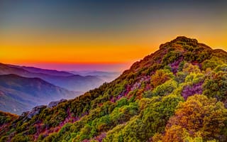Картинка национальный парк секвойя, Калифорния, зеленые деревья, сельская местность, дневное время, красочное небо, холм, 5к, чистое небо, горная вершина, пейзаж, горный хребет, фиолетовый, Соединенные Штаты