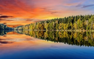 Картинка лес, деревья, оранжевое небо, пейзаж, зеркальное озеро, послесвечение, закат, отражение, 5к, водное пространство