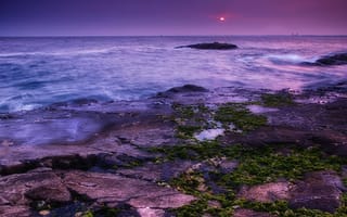 Картинка морской пейзаж, побережье, закат, мох, фиолетовый, пейзаж, океан, вечернее небо