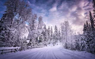 Картинка заснеженные деревья, зимняя дорога, леса, пейзаж, заснеженный, сельская местность, белый