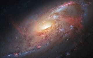 Картинка спиральная галактика, месье 106, 5к, астрономия, туманность, космос, созвездие, звезды