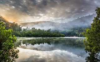 Картинка ручей берова, Австралия, пейзаж, туманный, зеленые деревья, водоток, отражение, лес, 5к, восход, зеркальное озеро, облачное небо