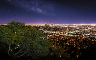 Картинка город лос-анджелес, городской пейзаж, огни города, зеленое дерево, горизонт, небоскребы, ночное время, звездное небо, фиолетовое небо