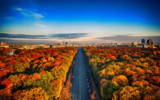 Картинка осенние деревья, берлин городской пейзаж, красочный, голубое небо, красивый, Германия, шоссе, берлинская телебашня, 5к, пейзаж, городской пейзаж