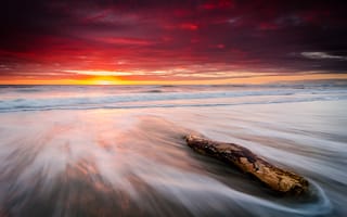 Картинка Лейтфилд Бич, Новая Зеландия, длительное воздействие, оранжевое небо, морской пейзаж, восход, 5к, пень, волны, облачное небо, прибрежный
