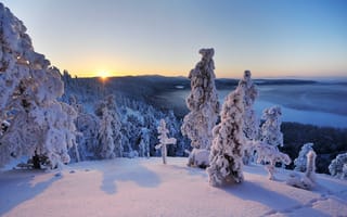 Картинка konttainen упал, Финляндия, восход, пейзаж, заснеженный, заснеженные деревья, холм, зима, горизонт