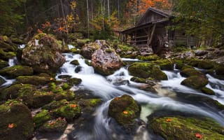Картинка Голлинджер Милл, Австрия, текущая вода, леса, горные породы, высокие деревья, длительное воздействие, пейзаж, зеленый мох, водопады, лес