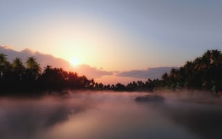 Картинка восход, пальмовые деревья, туманный, облака, тропический, пейзаж, туман, водное пространство