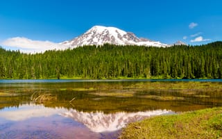 Картинка Маунт Рейнир, вулкан, голубое небо, заснеженный, пейзаж, Вашингтон, Сиэтл, отражение, США, горная вершина, зеленые деревья, озеро