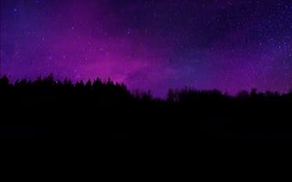Картинка деревья, силуэт, фиолетовое небо, темная эстетика, звезды, темный, ночное небо