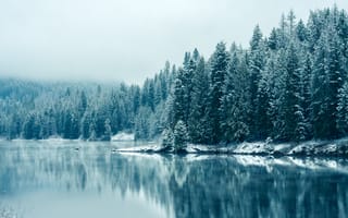 Картинка река Кутеней, снегопад, пейзаж, отражение, раннее утро, зеркальное озеро, заснеженные деревья, британская Колумбия, туманный, зима, лес, Канада