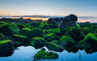 Картинка берег моря, зеленые скалы, закат