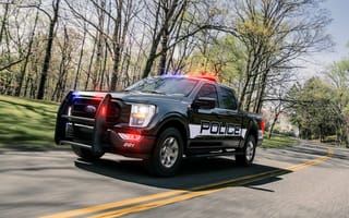 Картинка Ford F-150 полицейский ответчик, 2021, 5к