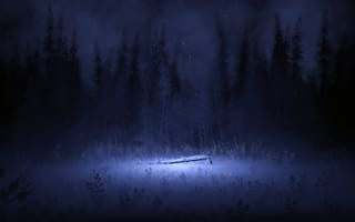 Картинка свет, ночь, лес, зима, темный, туманный