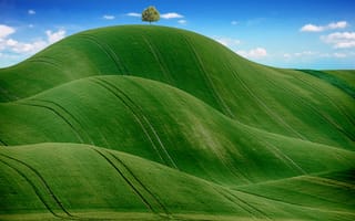 Картинка зеленый луг, сельская местность, холмы, пейзаж, сельское хозяйство, голубое небо