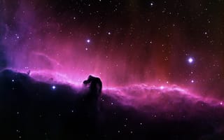 Картинка туманность конская голова, созвездие, астрономия, НАСА, космический телескоп Хаббл