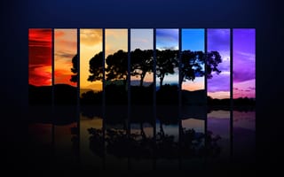 Картинка дерево, закат, силуэт, отражение, спектр, утро, восход, вечер, сумерки, ночь, темный, дневной свет