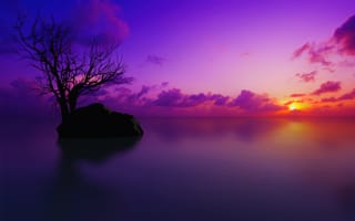 Картинка Мальдивы, закат, одинокое дерево, сумерки, яркий, облака, фиолетовое небо, солнце