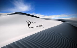 Картинка песчаные дюны, пустыня, цифровая композиция, пейзаж, одинокое дерево, эстетический, голубое небо