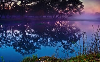 Картинка Лагуна-де-Санта-Роза, деревья, закат, Калифорния, водное пространство, красочный, озеро, размышления