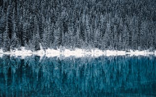 Картинка Лейк-Луиза, зима, замороженный, заснеженный, холодный, национальный парк банф, размышления, Канада, сосны, бирюзовая вода