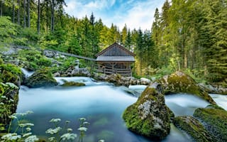 Картинка Голлинджер Милл, Австрия, текущая вода, зелень, панорамный, Голлинджер Вассерфолл, знаменитое место, 8k, лес, 5к, зеленый мох, пейзаж