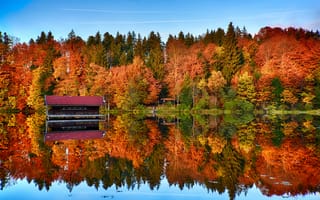 Картинка осенние деревья, лес, пейзаж, 8k, 5к, деревянный дом, отражение, зеркальное озеро