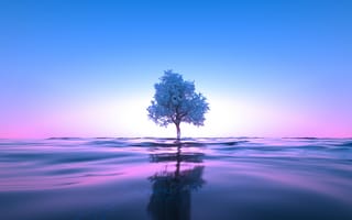 Картинка дерево, неон, синий, водное пространство, розовый, чистое небо, отражение