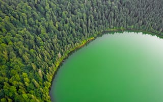 Картинка зеленое озеро, зеленые деревья, пейзаж, лесистая местность, с высоты птичьего полета, лес