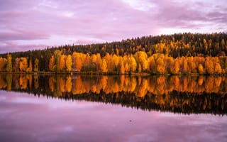 Картинка осенние деревья, лес, отражение, пейзаж, 8k, розовое небо, красивый, закат, 5к, зеркальное озеро