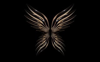Картинка крылья ангела, huawei p50 карман, запас, черный, амолед