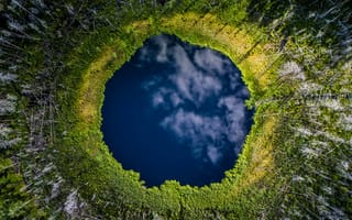 Картинка национальный парк карула, озеро, с высоты птичьего полета, фото с дрона, деревья, пейзаж, лес, живописный, Эстония