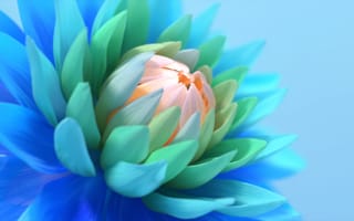 Картинка красочный цветок, синий, цвести