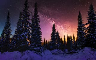Картинка зима, заснеженный, сосны, 5к, Млечный Путь, закат