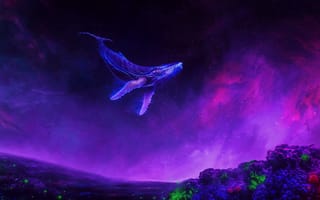 Картинка кит, сюрреалистичный, красочное пространство, ясный