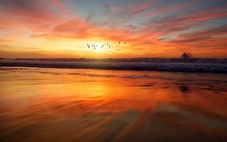 Картинка пляж, закат, 5к, летающие птицы, волны