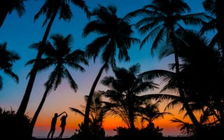 Картинка пара силуэт, романтик, закат, пальмовые деревья, Мальдивы, тропический пляж, сумерки