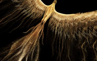 Картинка золотой феникс, огненная птица, запас, честь, черный