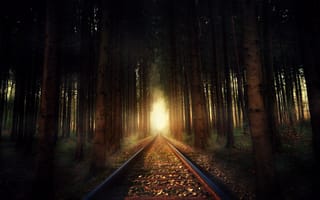 Картинка лес, железнодорожные пути, осень, 5к, Солнечный лучик, падать