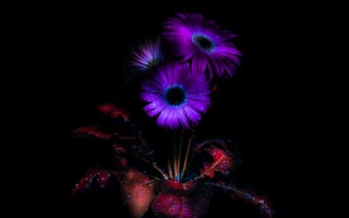Картинка фиолетовые цветы, светящийся, эфирный, темная эстетика, цвести, 5к, черный, амолед, 8k, темнота