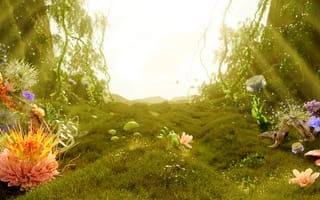 Картинка мистический лес, Солнечный лучик, пышное зеленое поле, цветочный, открытый, умиротворенность
