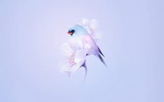 Картинка милая птица, вишня в цвету, запас, голубая эстетика, пастель, градиент, гармонии