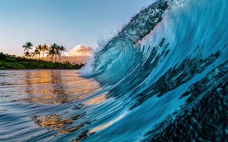 Картинка Океанские волны, пальмовые деревья, Гавайи, тропический пляж