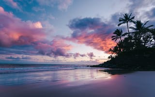 Картинка Мауи, закат, рассвет, тропический пляж, Гавайи