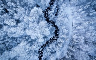 Картинка зимний лес, с высоты птичьего полета, водный поток, холодный, белая эстетика, заснеженный