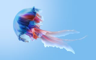 Картинка медуза, телевизор сяоми, запас, синий, эстетический, красочный